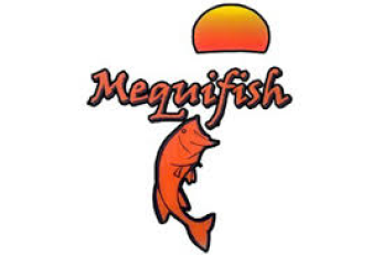 Mequifish fishing store logo