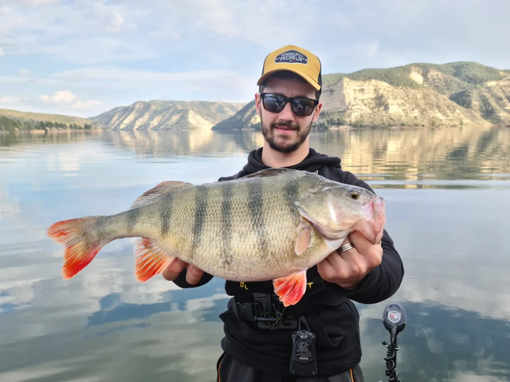 Que peces pescar rio Ebro mequinenza