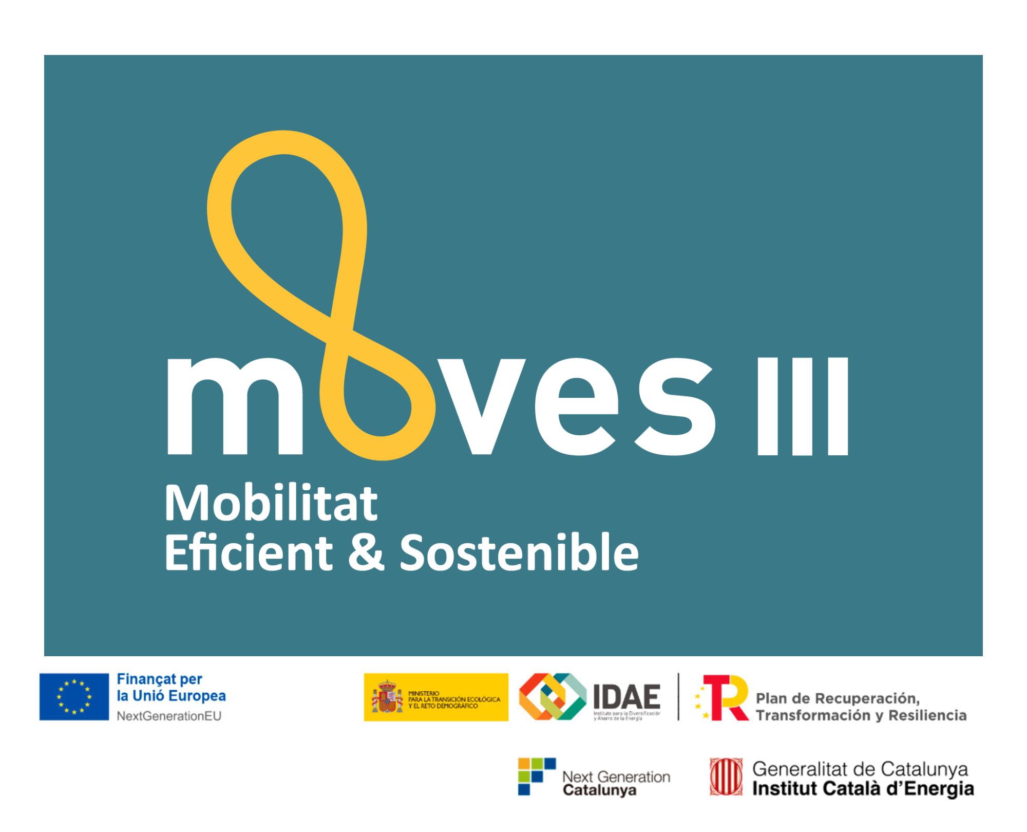 Adhesiu vehicle activitat econòmica MOVES III v